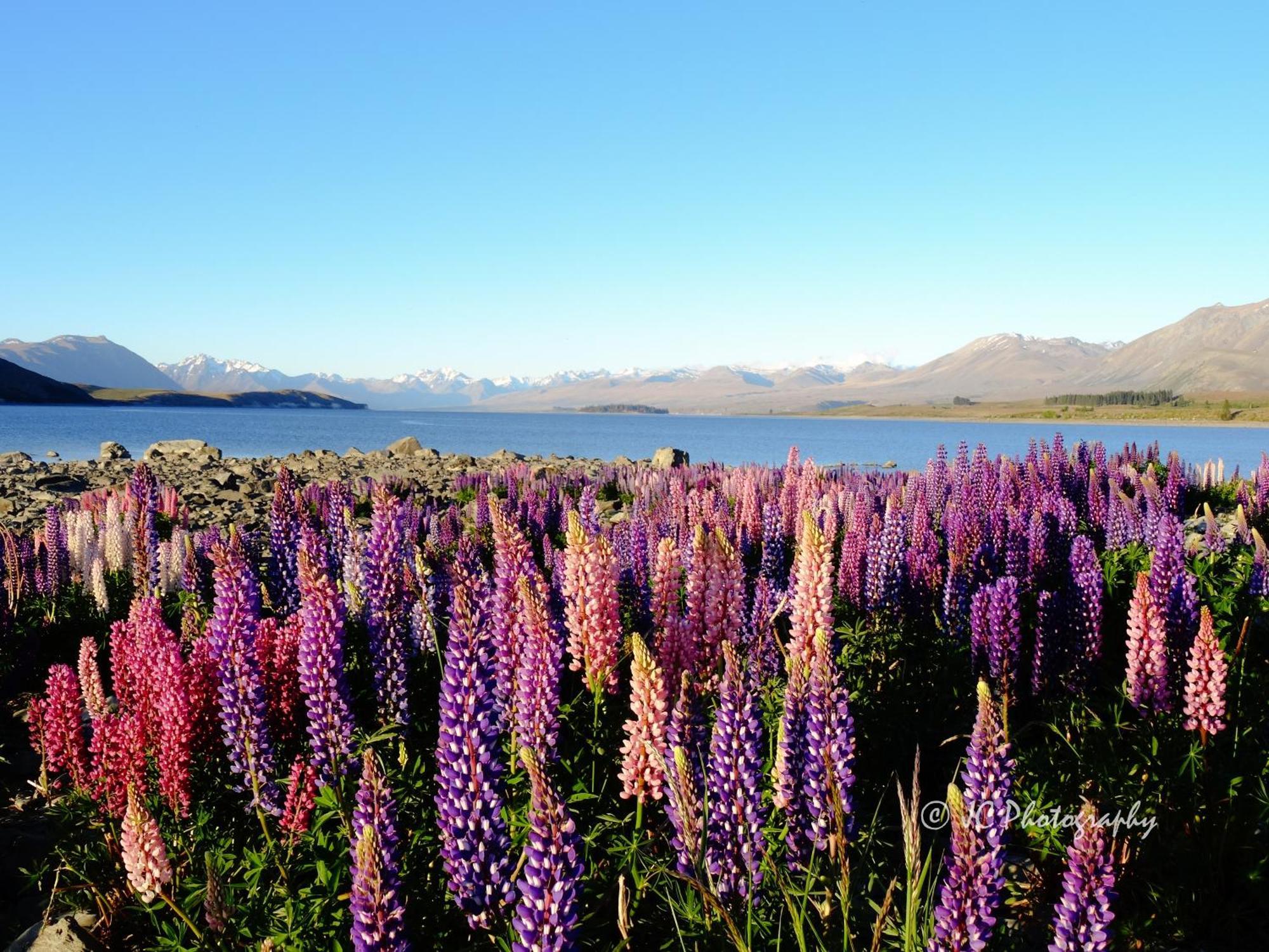 Tekapo Luxury Apartments Lake Tekapo Kültér fotó
